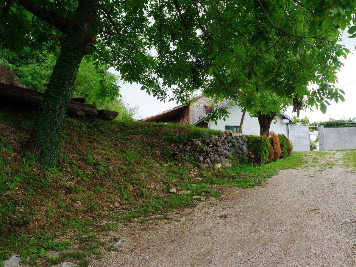 Old House Kontic Leilighet Nikšić Eksteriør bilde