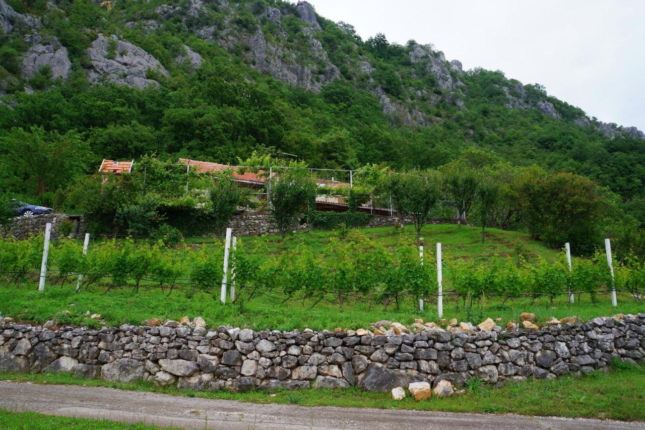 Old House Kontic Leilighet Nikšić Eksteriør bilde